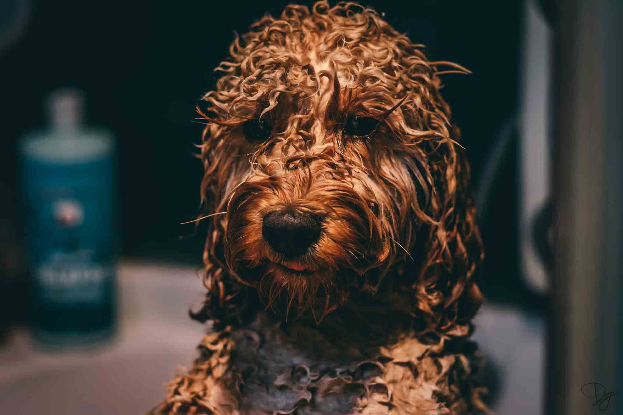 Bath Boy